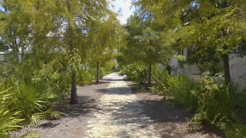 4K Sandy Walking Path Surrounded by Lush Trees Stock-Footage 111282427