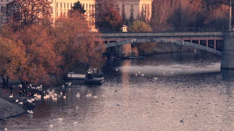 4K scene from Vitava river  in  Prague Stock Footage 132349394