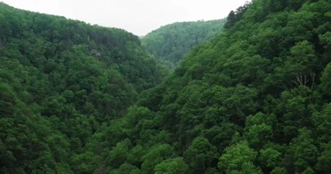 4K Scenic Flight Above Forested Mountain Landscape at Sunrise Stock Footage 333901585