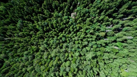 4K scenic flight of Eibsee in Bavaria on the bottom of Zugspitze Stock Footage 93083681