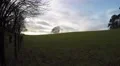 4K scenic lonely tree on top of hill against bright clouded sky 4k or 4k+ Resolution