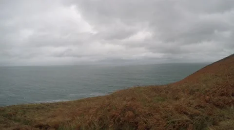 4K scenic view of the ocean with orange grass in foreground, autumn day Stock Footage 45701149