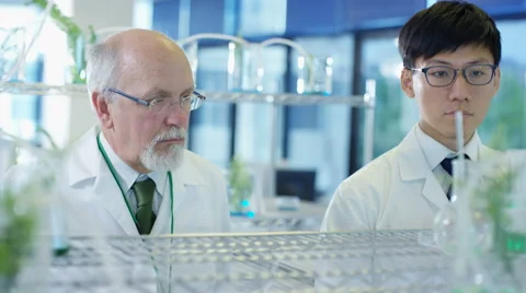 4K Scientific research team analyzing plant samples in laboratory Stock Footage 64520859