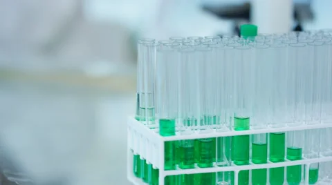 4K Scientific researcher in laboratory analyzing plant sample Stock Footage 67739389