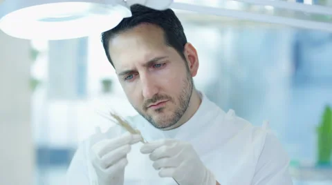 4K Scientific researcher in laboratory analyzing plant sample Stock Footage 67739459