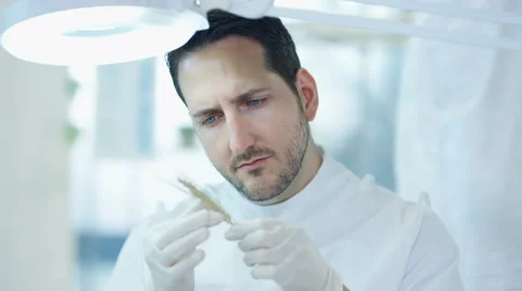 4K Scientific researcher in laboratory analyzing plant sample Stock Footage 67739513