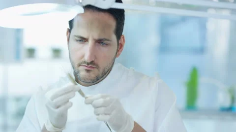 4K Scientific researcher in laboratory analyzing plant sample Stock Footage 67739585