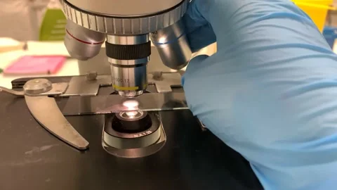 4k Scientists is looking in microsope changing objective lens Stock Footage 135950622