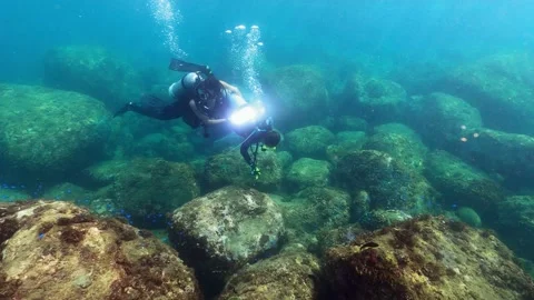 4K Scuba divers exploring underwater. People in diving gear dives down water-Dan Stock Footage 134280374