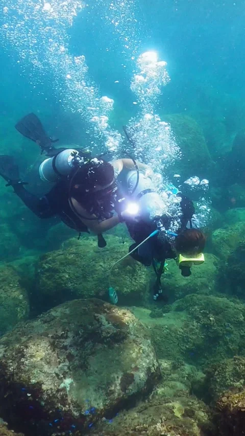 4K Scuba divers exploring underwater. People in diving gear dives down water Stock Footage 312114429