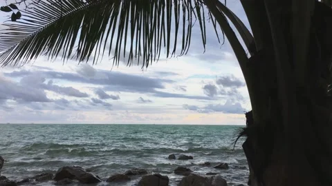 4k sea beach Stock Footage 168467836