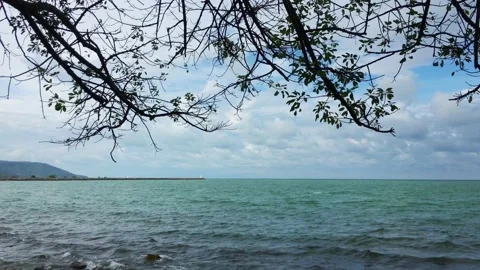 4k sea beach Stock Footage 170611574