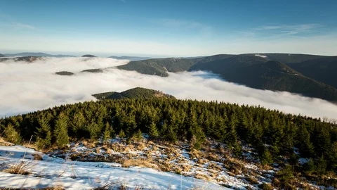 4K Sea of clouds, forest and mountains view Stock Footage 119157452