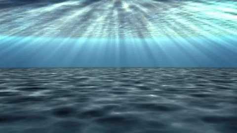 4K seabed animation Stock Footage 317004550
