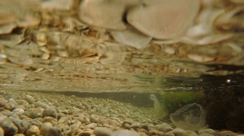 4k, Seafront summer Stock Footage 51435282