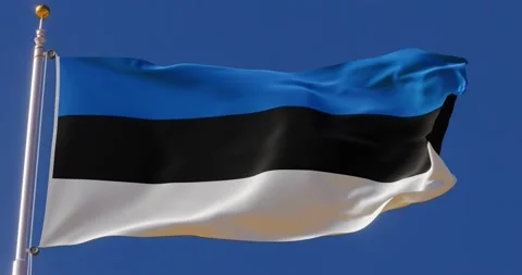 4K Seamless Estonia flag looping animation fluttering in the wind. Stock Footage 176217761