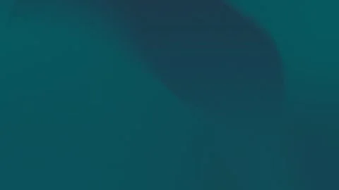 4K seamless loop background featuring a teal gradient with soft, dark curved Stock Footage 300840195