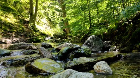 4k seamless loop forest river stream with rocks and flowing waternatural soun Stock Footage 341861757