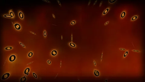 4K Seamless Loop Glowing Bitcoin Inferno 3D Animation Stock Footage 332692869