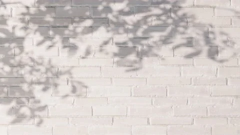 4K seamless loop video shadow of tree foliage against a white brick wall. Stock Footage 235483489