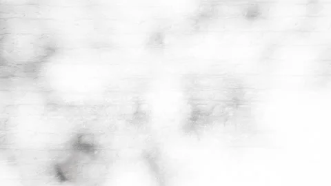 4K seamless loop video shadow of tree foliage on white brick wall. UHD 3840x2160 Stock Footage 239749607