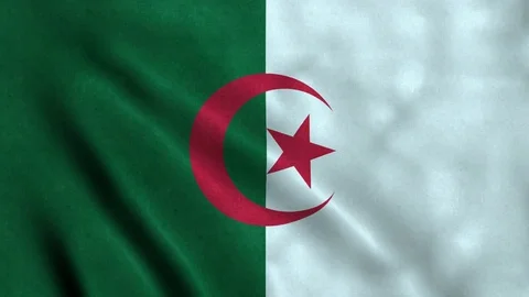 4K Seamless Loopable Flag of Algeria Video stock 80853774