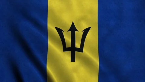 4K Seamless Loopable Flag of Barbados Stock Footage 80867064