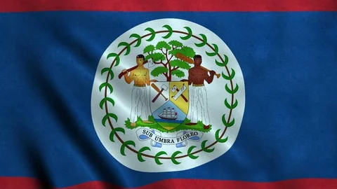 4K Seamless Loopable Flag of Belize Video stock 80903853