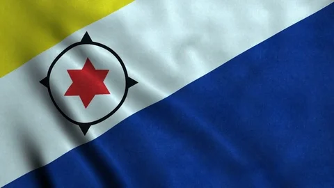 4K Seamless Loopable Flag of Bonaire Video stock 80903805