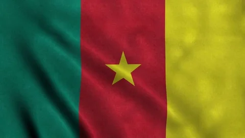 4K Seamless Loopable Flag of Cameroon Video stock 80909466