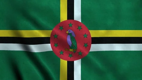 4K Seamless Loopable Flag of Dominica Video stock 80922075