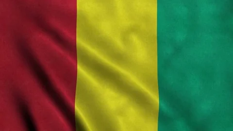 4K Seamless Loopable Flag of Guinea Video stock 80928015