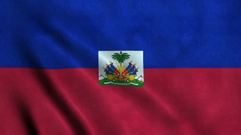 4K Seamless Loopable Flag of Haiti Video stock 80928156
