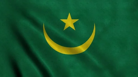 4K Seamless Loopable Flag of Mauritania Video stock 80932726