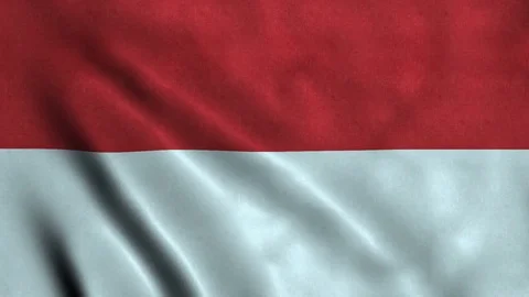 4K Seamless Loopable Flag of Monaco Video stock 80933282