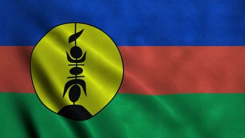 4K Seamless Loopable Flag of New Caledonia Stock Footage 80933945
