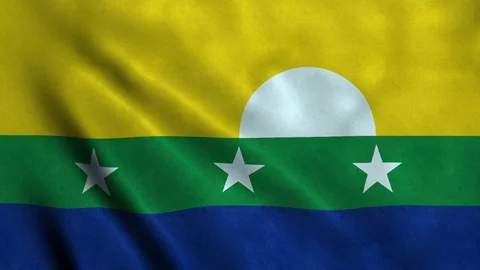 4K Seamless Loopable Flag of Nueva Esparta Stock Footage 80934645