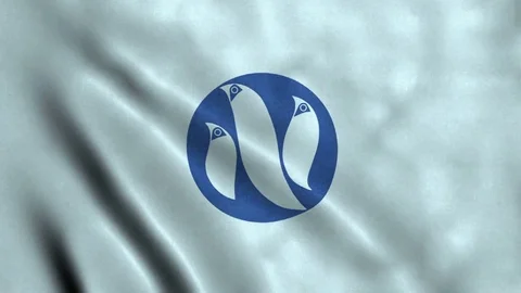 4K Seamless Loopable Flag of Ogasawara Video stock 80934648