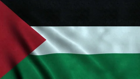4K Seamless Loopable Flag of Palestine Video stock 80935189