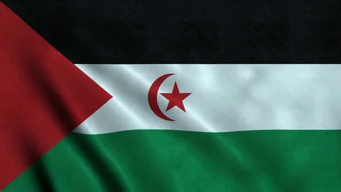 4K Seamless Loopable Flag of Sahrawi Arab Democratic Republic Video stock 80937395