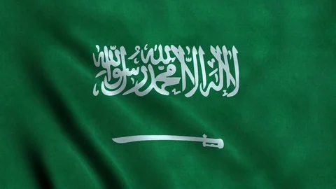 4K Seamless Loopable Flag of Saudi Arabia Video stock 80938954