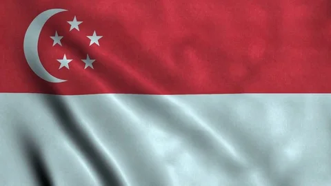 4K Seamless Loopable Flag of Singapore Video stock 80940324