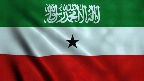 4K Seamless Loopable Flag of Somaliland Video stock 80941204