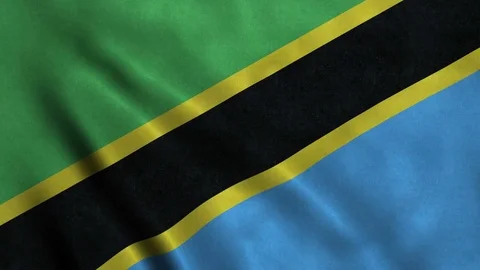 4K Seamless Loopable Flag of Tanzania Stock Footage 80944572