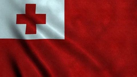 4K Seamless Loopable Flag of Tonga Video stock 80945755