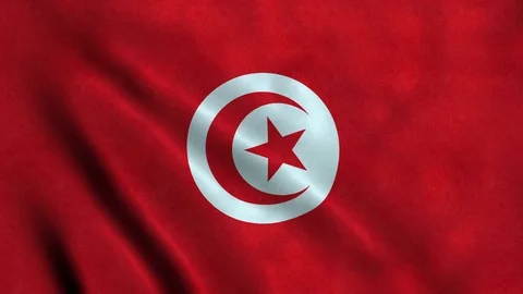 4K Seamless Loopable Flag of Tunisia Stock Footage 80946074