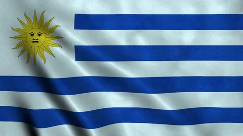 4K Seamless Loopable Flag of Uruguay Stock Footage 80948149