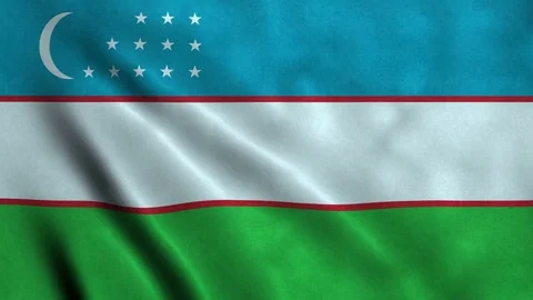 4K Seamless Loopable Flag of Uzbekistan Stock Footage 80948281