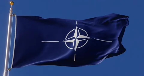 4K Seamless NATO flag looping animation fluttering in the wind. Stock Footage 176218091