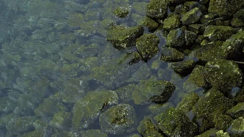 4K Seattle Washington green rocks in water during day Stock Footage 73475394